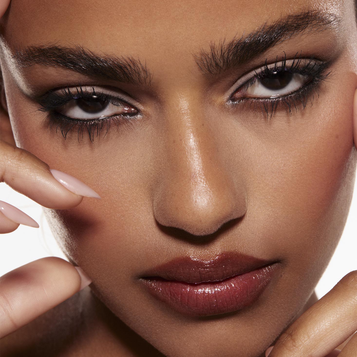 Stone Cold Fox - Image 4